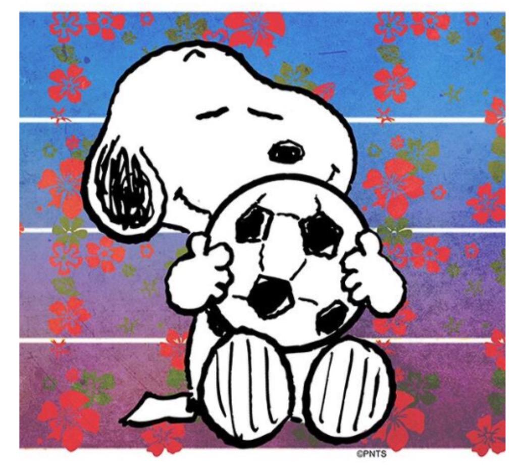 Snoopy's tweet photo. One more. ⚽️ #USAvJPN http://t.co/2RLWY4tNZV