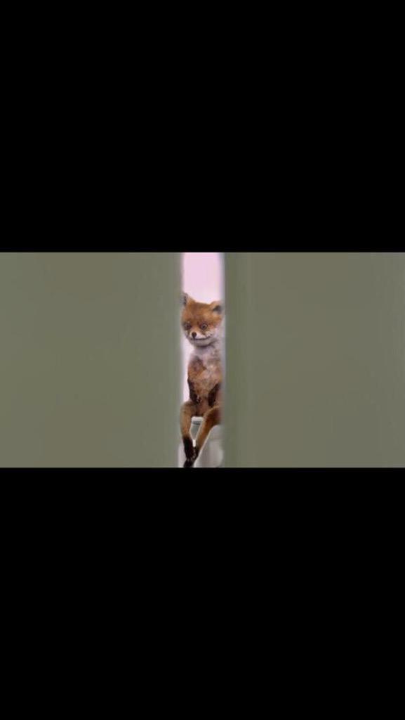 BjDicaprio's tweet photo. When you're sitting on the toilet and u make eye contact with someone through that little crack in the stall ��� http://t.co/VfWluyrQ94