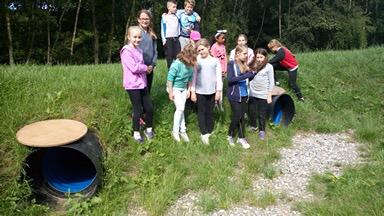 Eccleston Mere Primary School tweet media