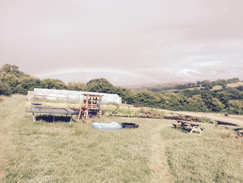 PhilSumption's tweet photo. Great farm walk at Strode Valley Organics this pm. #BABOG @KateCollyns @charlesdowding @OGAgrowers http://t.co/5NxjJJBcAP