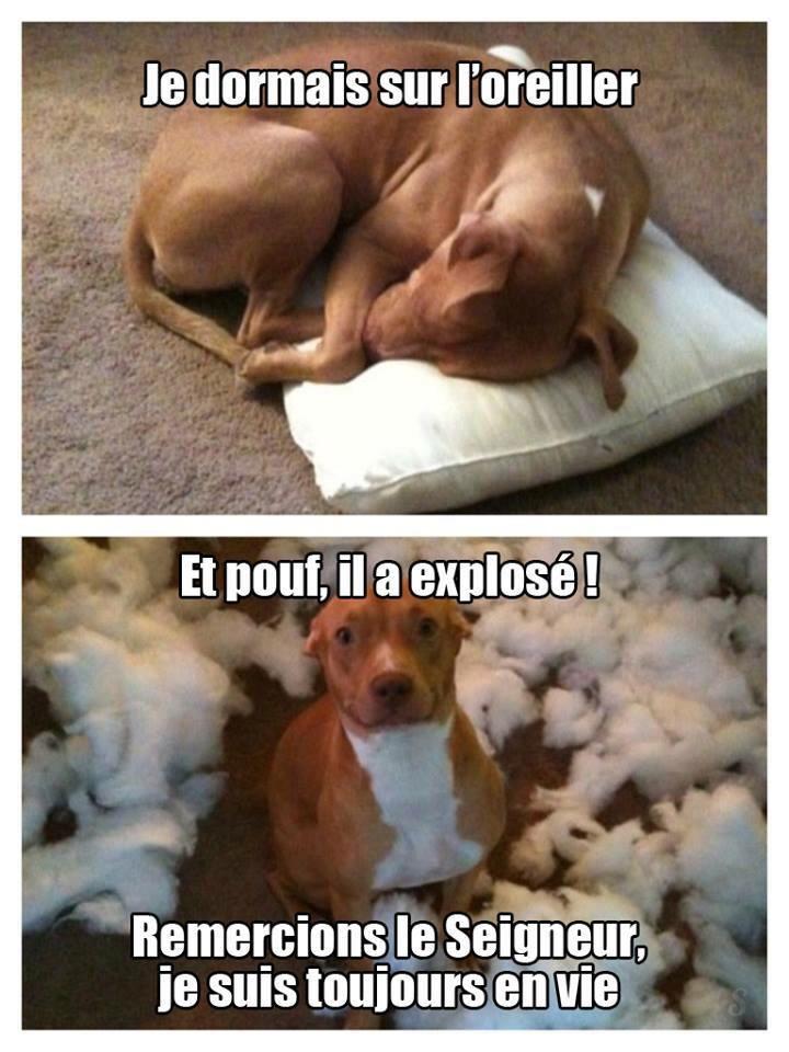 clovisgrise's tweet image. Ça m'arrive souvent...