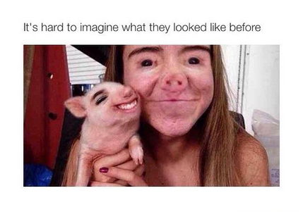 AmusingDude's tweet image. 