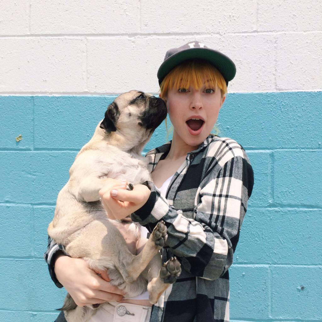 ParamoreWebNews's tweet image. New photo of @yelyahwilliams with @itsdougthepug in Nashville, TN.