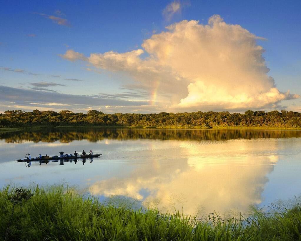 ResisteYAsuni's tweet image. Sí el paraíso esta en #Ecuador y es el #Yasuní y @MashiRafael quiere destruirlo! @Pontifex_es