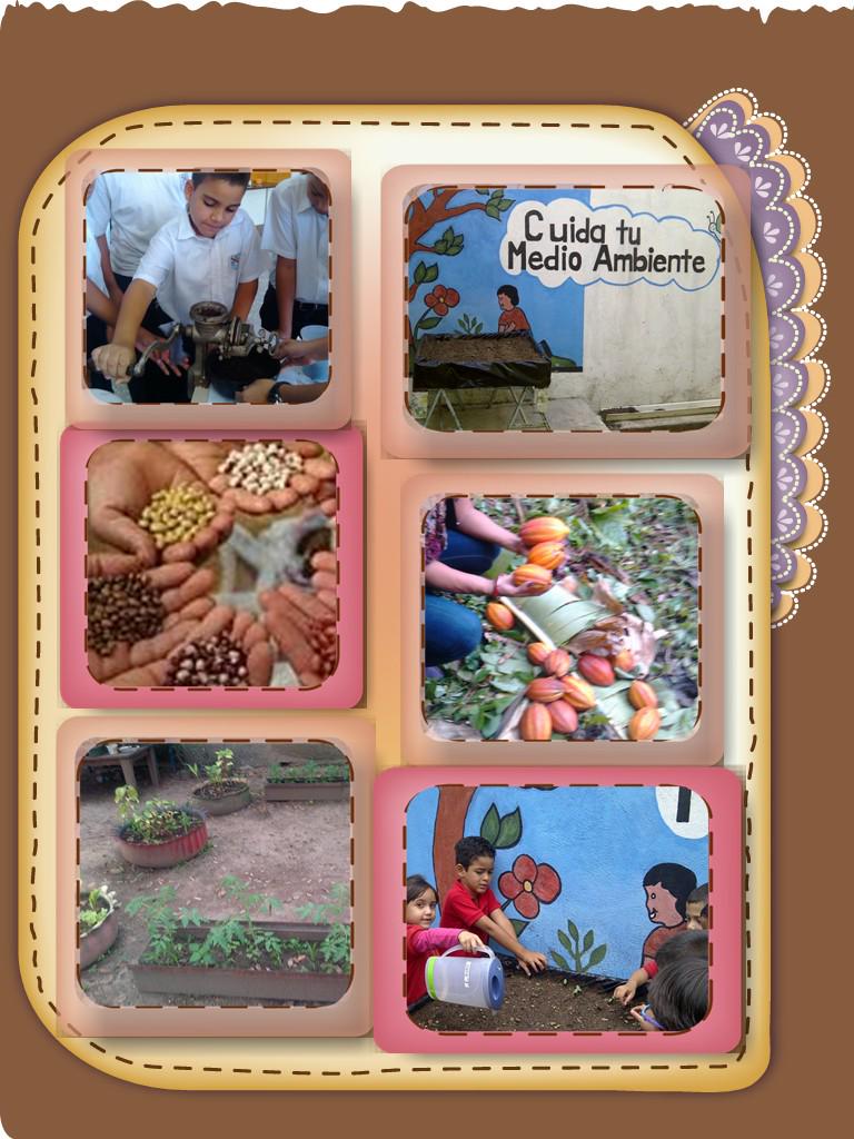 y Escuelas técnica  que permitió abrir un debate y diálogo en torno al tema escuela, producción y preservación del