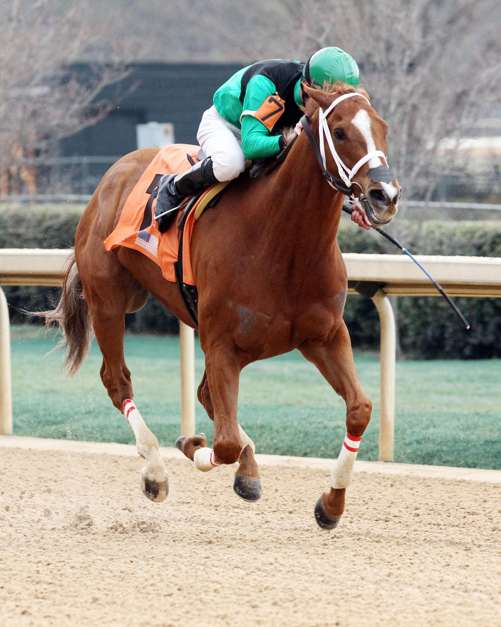 Oaklawn Anywhere on Twitter "These 2 speedsters will be matching up