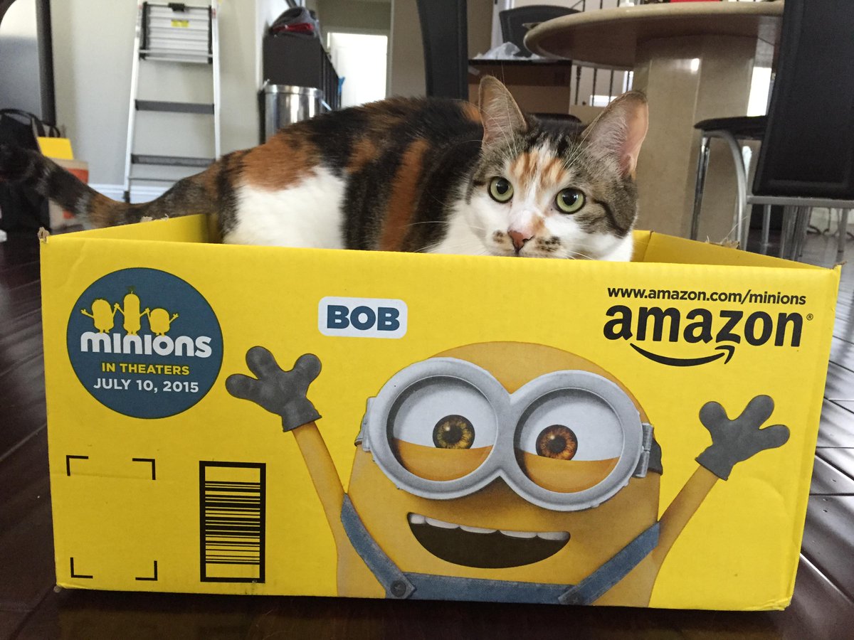 Meg_MechE's tweet photo. Playtime is even more fun with #MinionsBoxes http://t.co/i75a3Hg3Ol