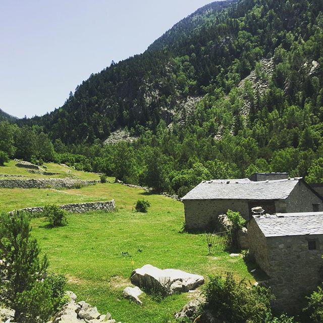 Ramio, a la vall del Madriu #andorra de @kalamar158 Opina a m.yopp.co/sondeigandorra