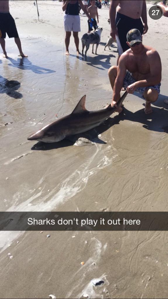 the_brodster15's tweet photo. Shark today @ Oak Island Beach, NC @wxbrad http://t.co/5VUKMQYwD5