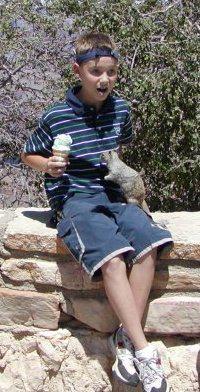 The_TT_Tribe's tweet photo. The squirrel ended up stealing my ice cream cone a few seconds later after the photo was taken...

(true story) http://t.co/lsUUEctlM7