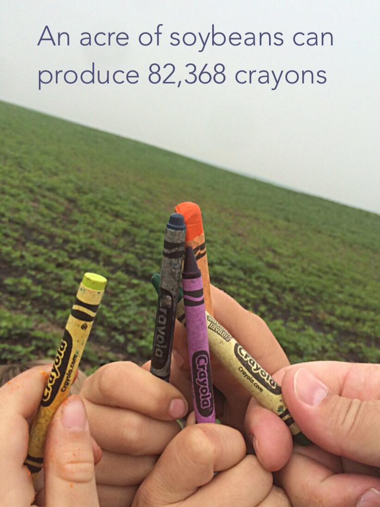 Crop tour with extended family 2015 #agmorethanever #westcdnag