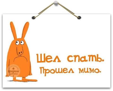 Мимо приколы. Демотиваторы про бездомных животных. Мимо приколы. Все идет хорошо только мимо. Спать картинки прикольные.