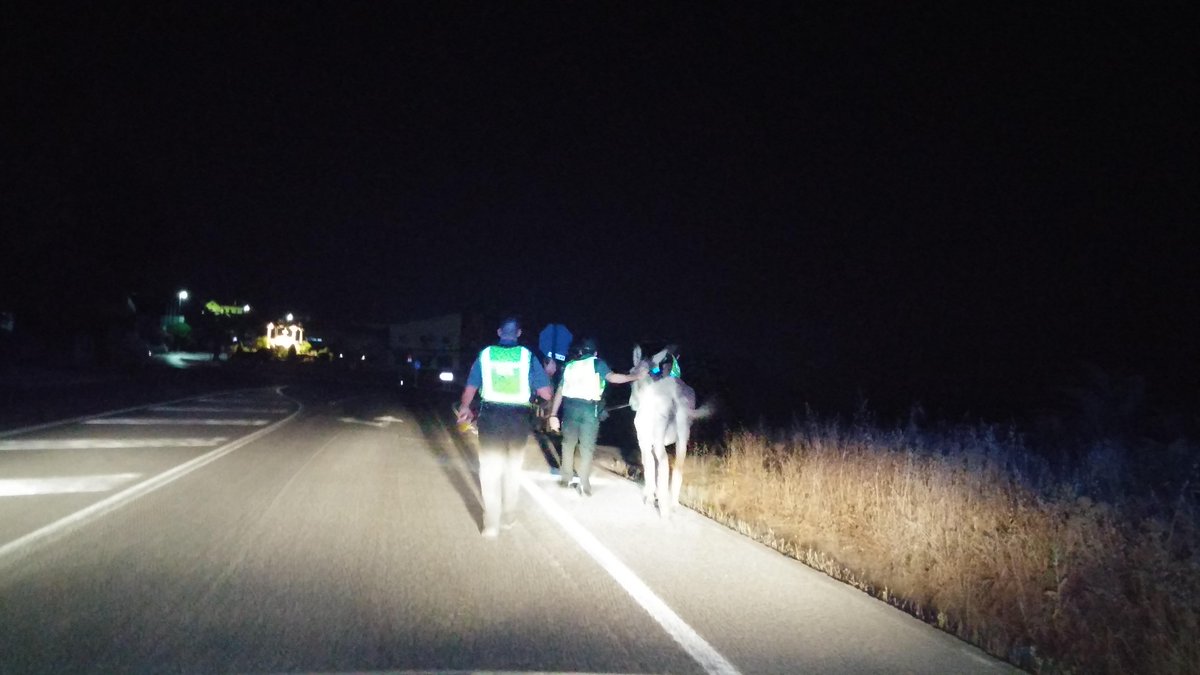 PoliciaPriego's tweet photo. Tener un animal conlleva responsabilidades. Si se deja suelto se puede incurrir en delito... 
@E112Andalucia 
@DGTes http://t.co/hCPifWr29X