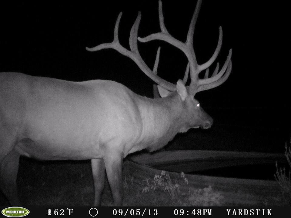 On <a href="/TheGivenRight/">The Given Right</a> Kenneth Lancaster and Jeremy Atkins load up and roll to NM. 6:30PM ET