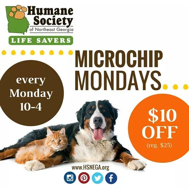HSNEGA's tweet image. Tomorrow... #MicrochipMonday! $15 per pet... A $10 savings!