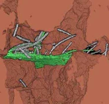 CelebrateSoil's tweet photo. A Tale of 2 (#Soil) Cities: Cover crops increase diversity in pore size &amp; #OM RT: @SoilLife http://t.co/QQ4TduxLbO http://t.co/60VA4RxgKs