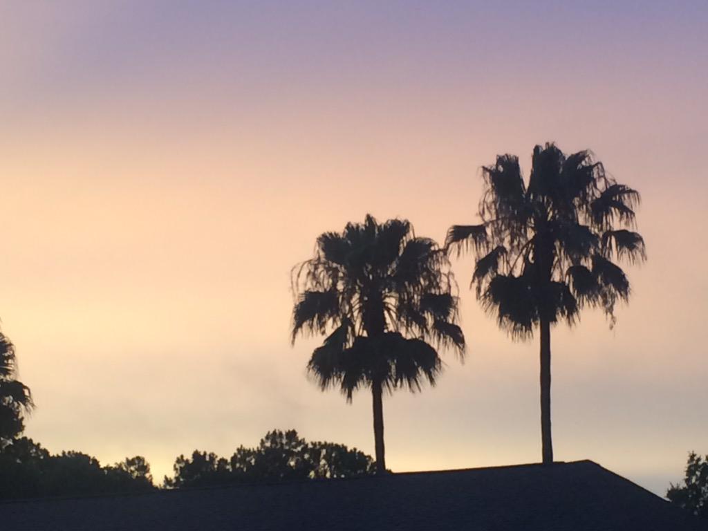 Alex Denny (alex_dennyy) Twitter