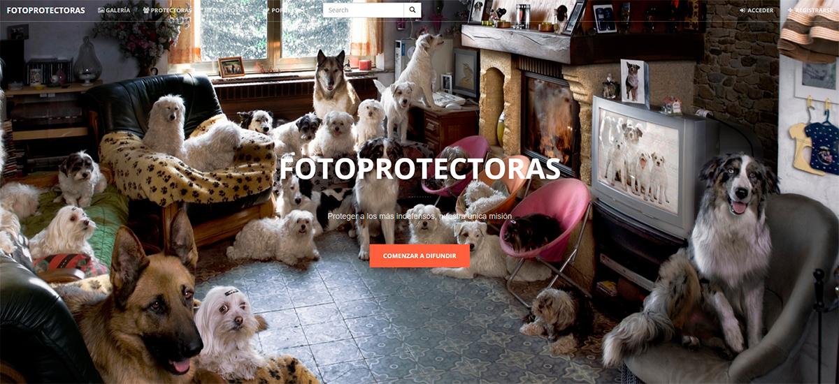 footooes's tweet photo. @fotoprotectoras Si trabajas en una protectora animal, esto va por ti y para ellos http://t.co/3rOnhQsTDM / Síguenos! http://t.co/HuYqGa48nZ