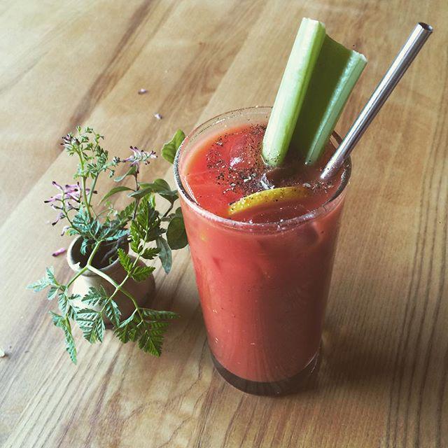 FindingInfinity's tweet image. The straw that never ends #zerowaste #findingit #findinginfinity #reusable ift.tt/1CjCrJ7