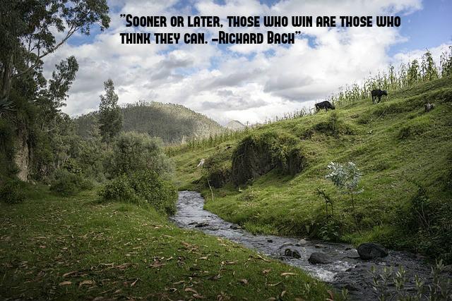 sajuks's tweet photo. Sooner or later, those who win are those who think they can-Richard Bach #ThinkBIGSundayWithMarsha #quotes #syccess http://t.co/yuPiFDZxYI