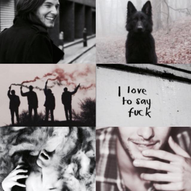 SIRIUS BLACK AESTHETIC ◦ harry potter