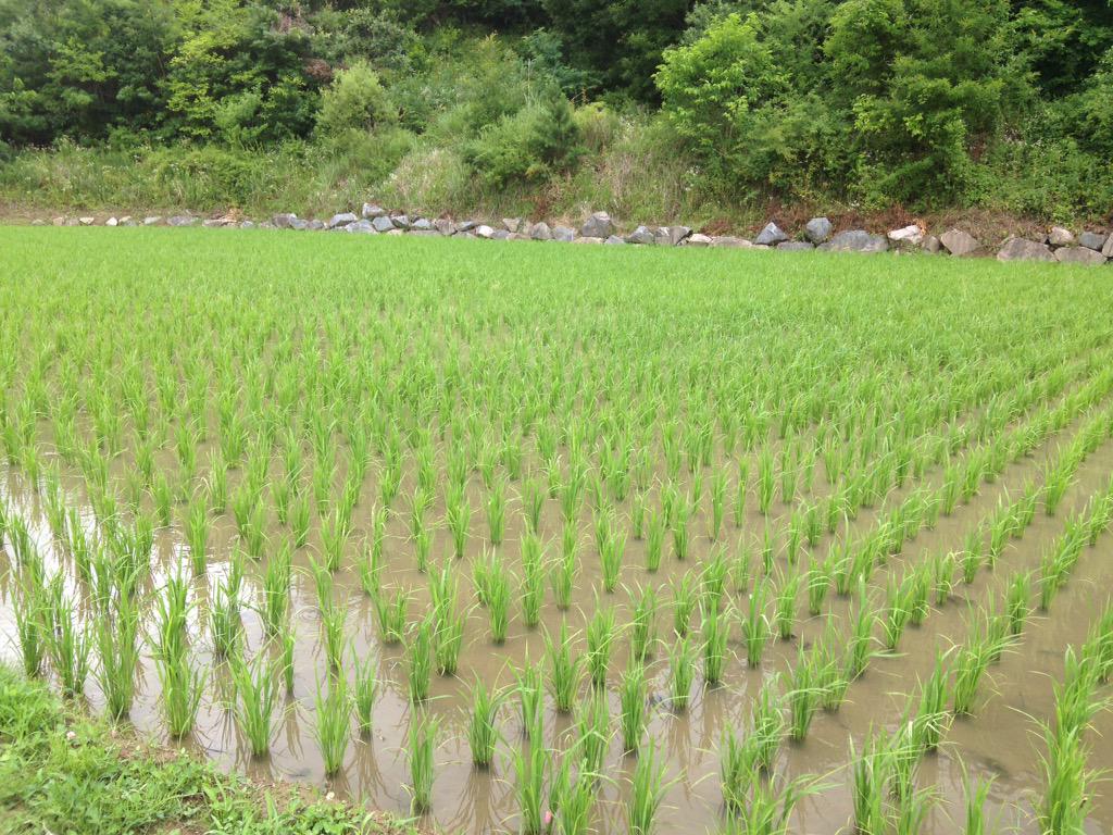 magic_donkey's tweet image. KBS1 TV
월요일 오전 11시.
촌촌촌 '진격의 촌놈'
농사와 인생의 
스승들을 만나보세요..