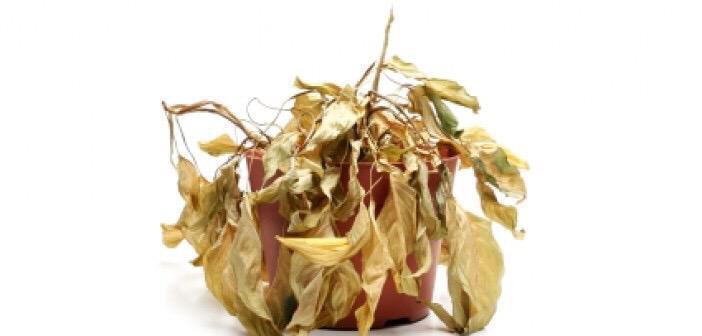 HeavenTouch_'s tweet image. WATER THOOOOSE