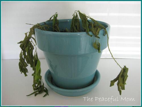 HeavenTouch_'s tweet image. WATER THOOOOSE