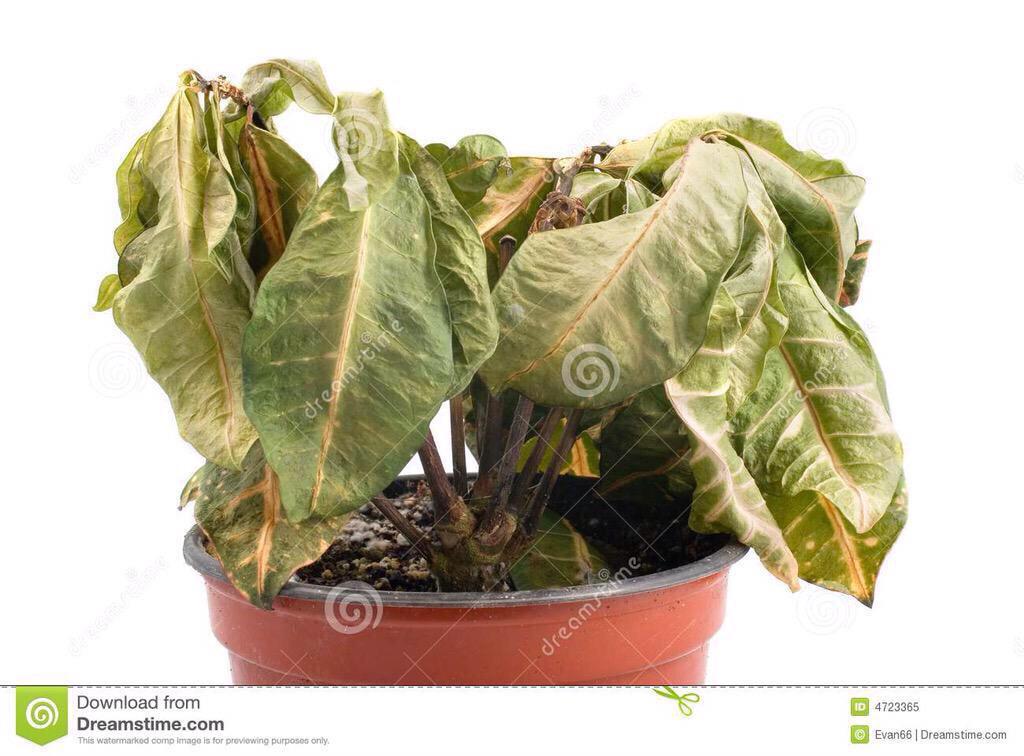 HeavenTouch_'s tweet image. WATER THOOOOSE