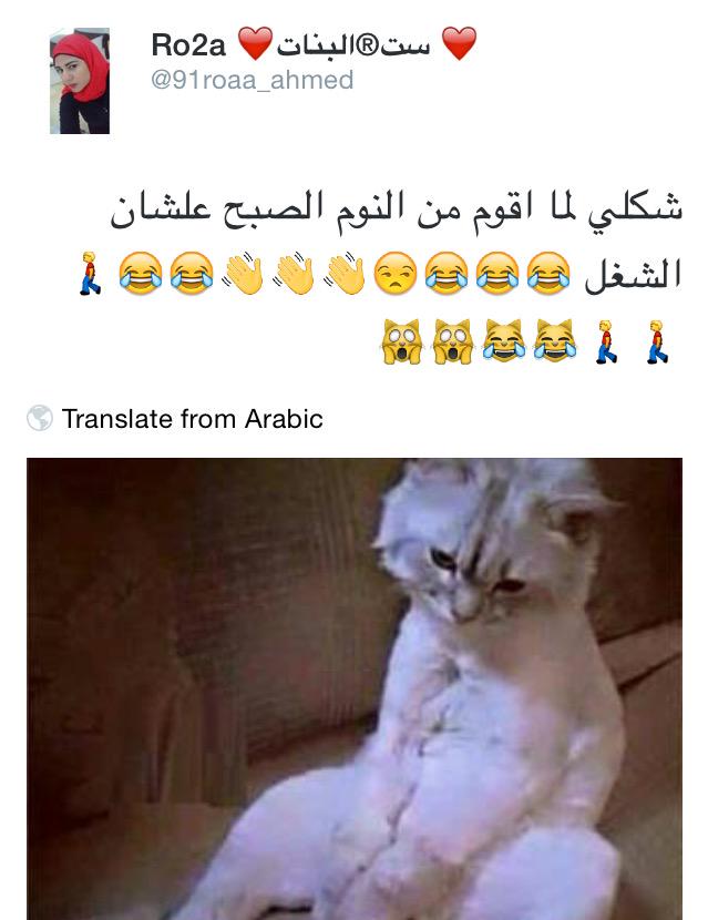 BestTweeetss1's tweet photo. @91roaa_ahmed http://t.co/Dq2Km8zybf