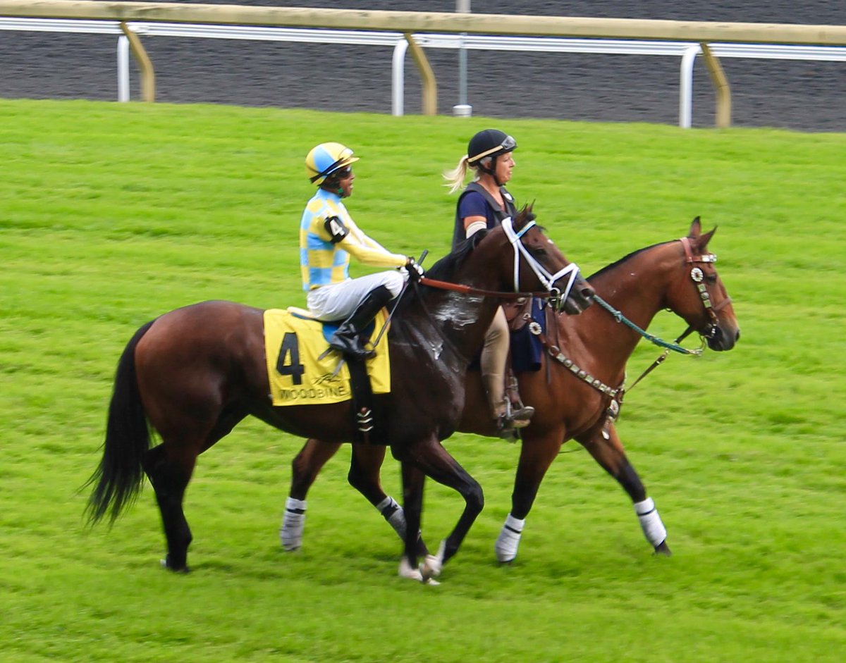 @casseracingnc Captured a good one of #DynamicSky in post parade of the #SingspielStakes @WoodbineRacing Great Race!