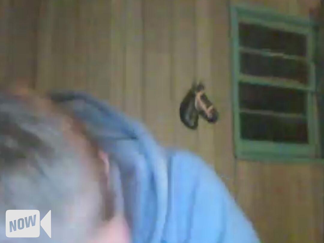 carrotattack1's tweet photo. 🔴 LIVE @T3CHK1DD on #YouNow - http://t.co/2prVKh1dqd http://t.co/PTsjLuB6kR