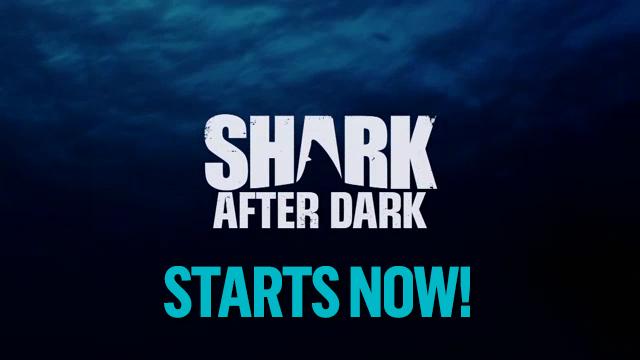 #SharkWeek is swimming into late night! Join @eliroth for the return of SHARK AFTER DARK now!
