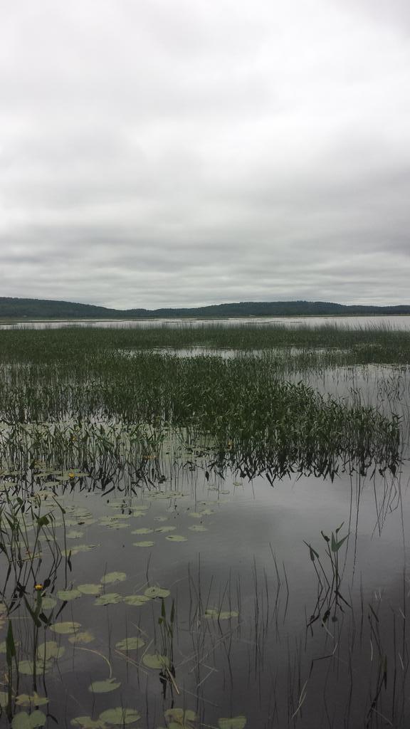joecox15's tweet photo. Canada #echobay http://t.co/lwbG37a2dC