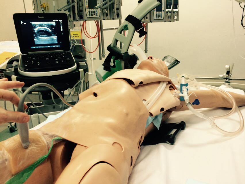 ALS mannequin hacked for ECMO!Ultrasoundable&cannulatable. ECPR training from arrest to transport on pump #ECMOwanker