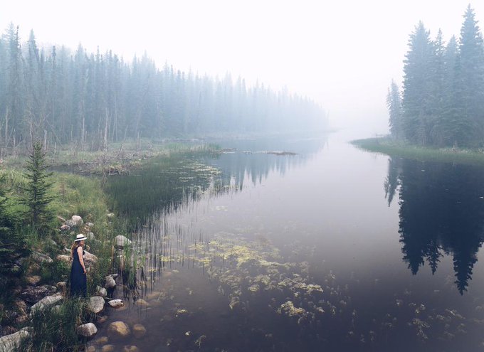 Reflecting on explorations along the shores of the Waskesiu River with @bittadesign. http://t.co/kSy<a href="/tag/stayandwander"class="tags"><span>#stayandwander</span></a>
