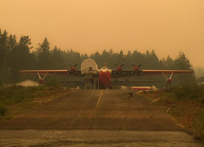 GlobalBC's tweet image. As fires increase, so do calls to bring back Martin Mars water bombers: glbn.ca/Pdgpd