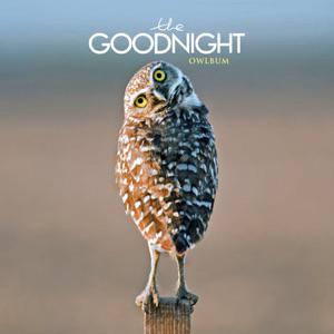 TheGoodnight's tweet photo. Listen to Owlbum by The Goodnight on @AppleMusic. https://t.co/buN6BkfWso http://t.co/NuFb6cjabh