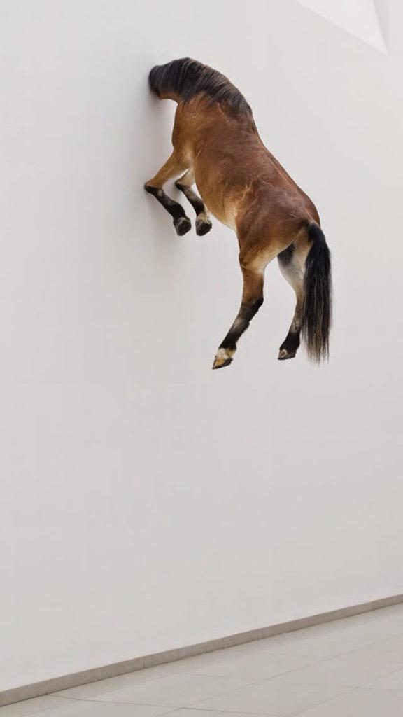 BushbaumReed's tweet image. Me trying to get life togethrr