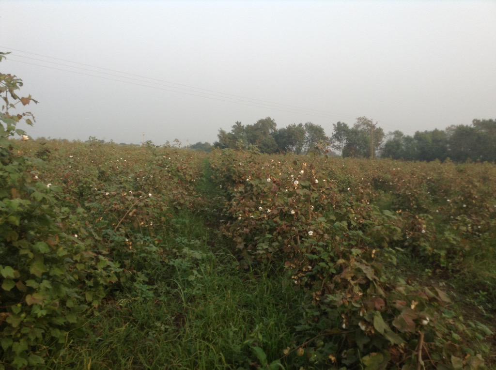 HumeraMathia's tweet image. Please follow me for a follow back