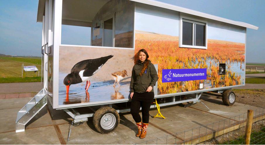 VVVTexel's tweet image. Kom en vaar mee!
buff.ly/1GJAW25