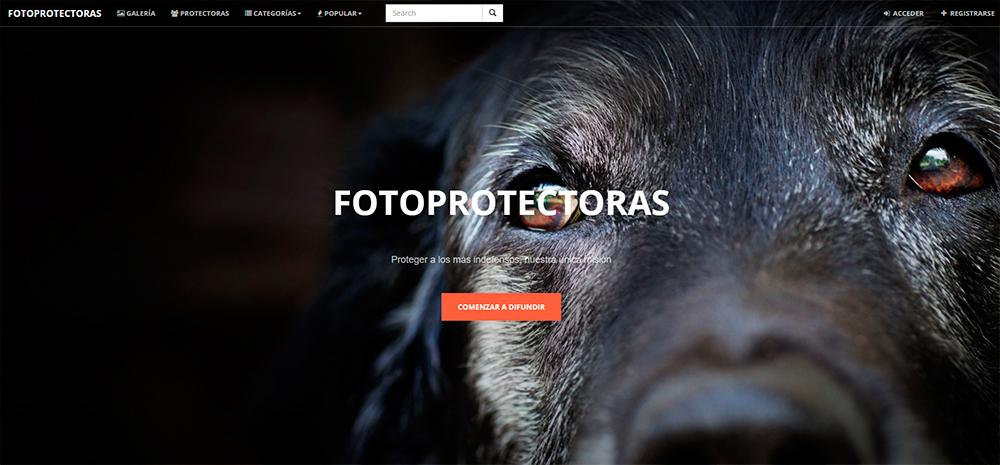 footooes's tweet photo. @fotoprotectoras #animales #AyudaAnimal #animalabandonado Ayúdales a ayudar. Participar ahora! http://t.co/3rOnhQsTDM http://t.co/tDolqRxFpm