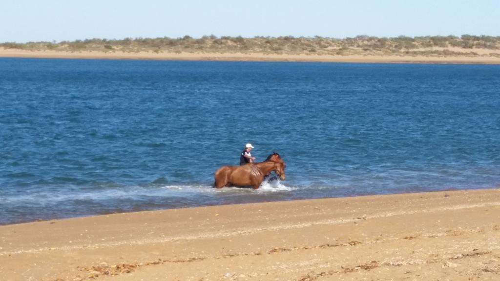 RozBynder's tweet photo. Port Hedland to the iconic Marble Bar races. #goodtimes #reddirtracing @RWWA_Thor @StevieButts @countrycupswa http://t.co/SBwabM8fBz