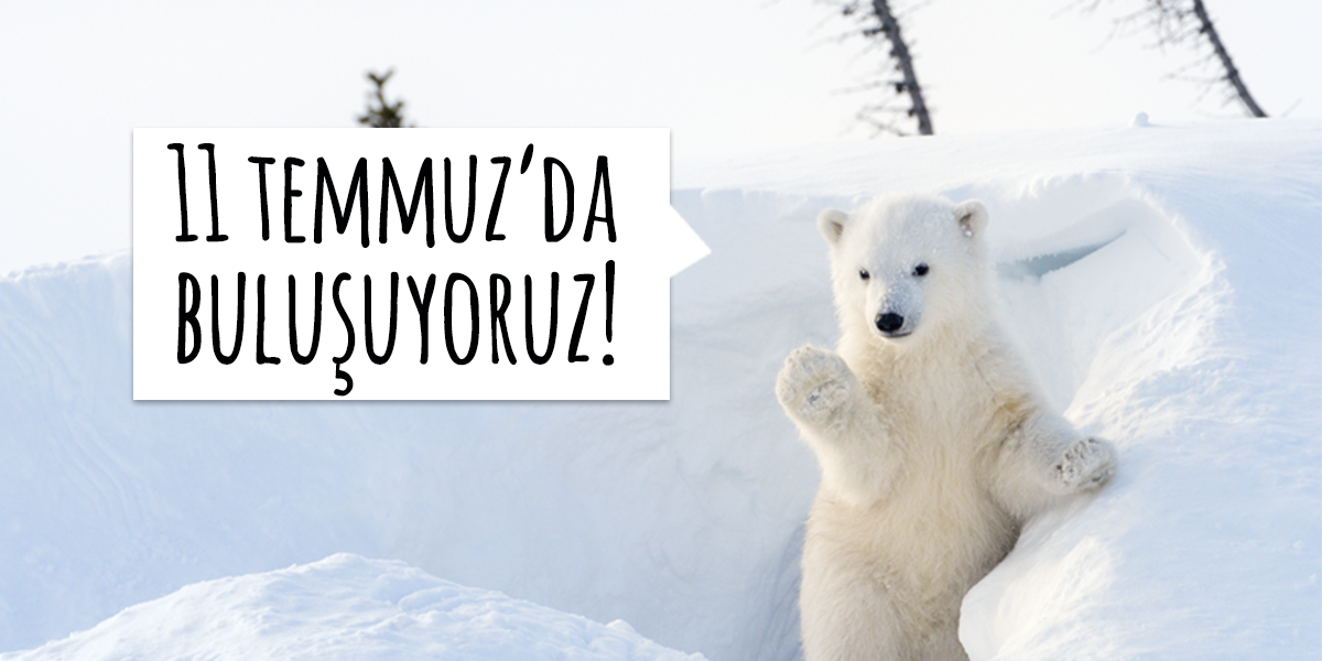 Greenpeace_Med's tweet photo. Cumartesi günü Kuzey Kutbu için 8 şehirde buluşuyoruz! Etkinliğin detayları burada: https://t.co/hN014cvoJE http://t.co/O1FrB10Dl6