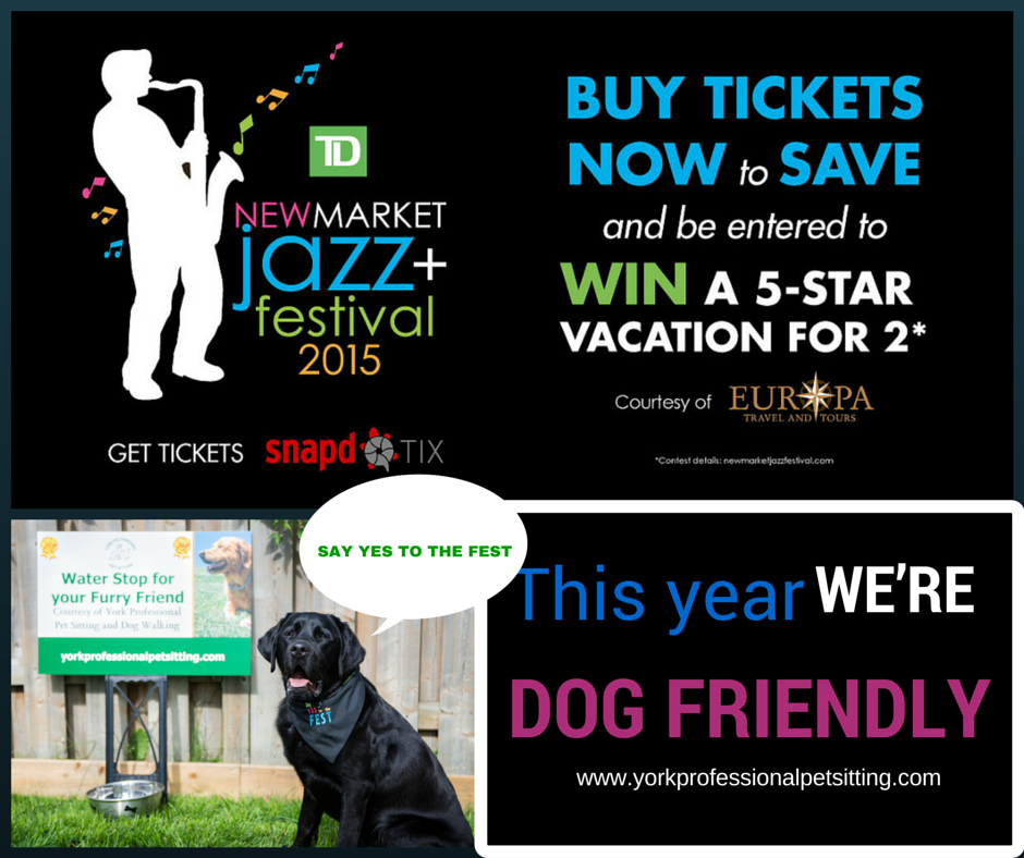 NewmarketMF's tweet photo. Thanks to Morag @petpartner the @NewmarketJazz is pet friendly! Send in your #SayYestotheFest photo to win. http://t.co/aTkEMkEiUJ