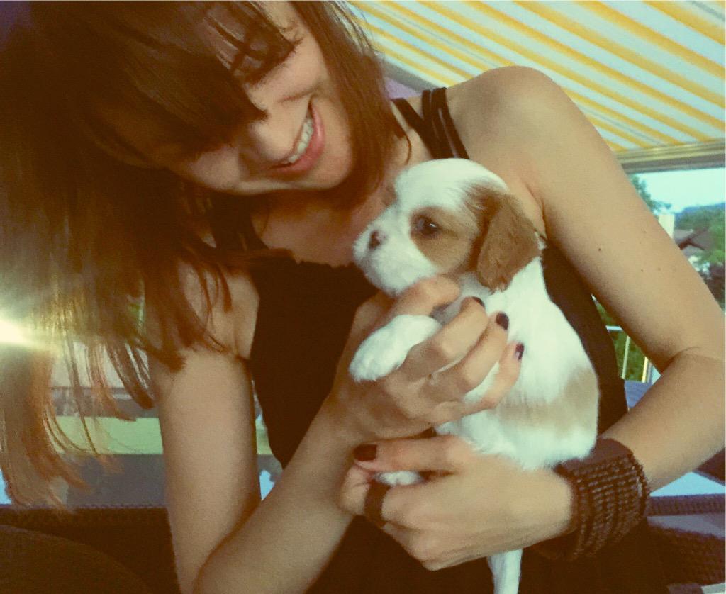 ReadyFurAction's tweet photo. We're getting a new puppy brother. We have to admit it, he's kinda adorable.. 🐶 (almost as much as we are ;)) http://t.co/vyslfj0W8E