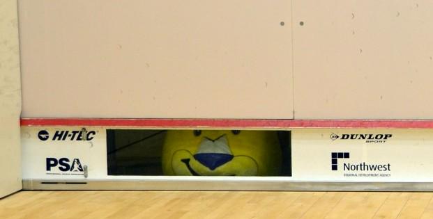SquashSite's tweet image. PSA to trial lower tin height for women's matches ...  squashsite.tumblr.com/post/123358650…