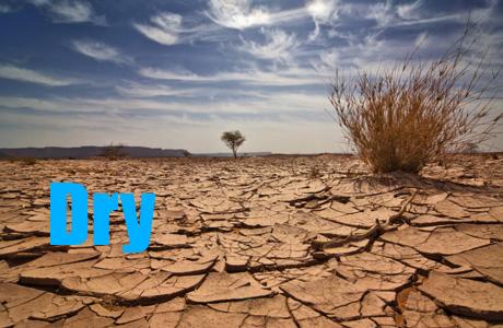 Word of the day -> "Dry" : sec #wordoftheday #anglais #excelangues #Lille