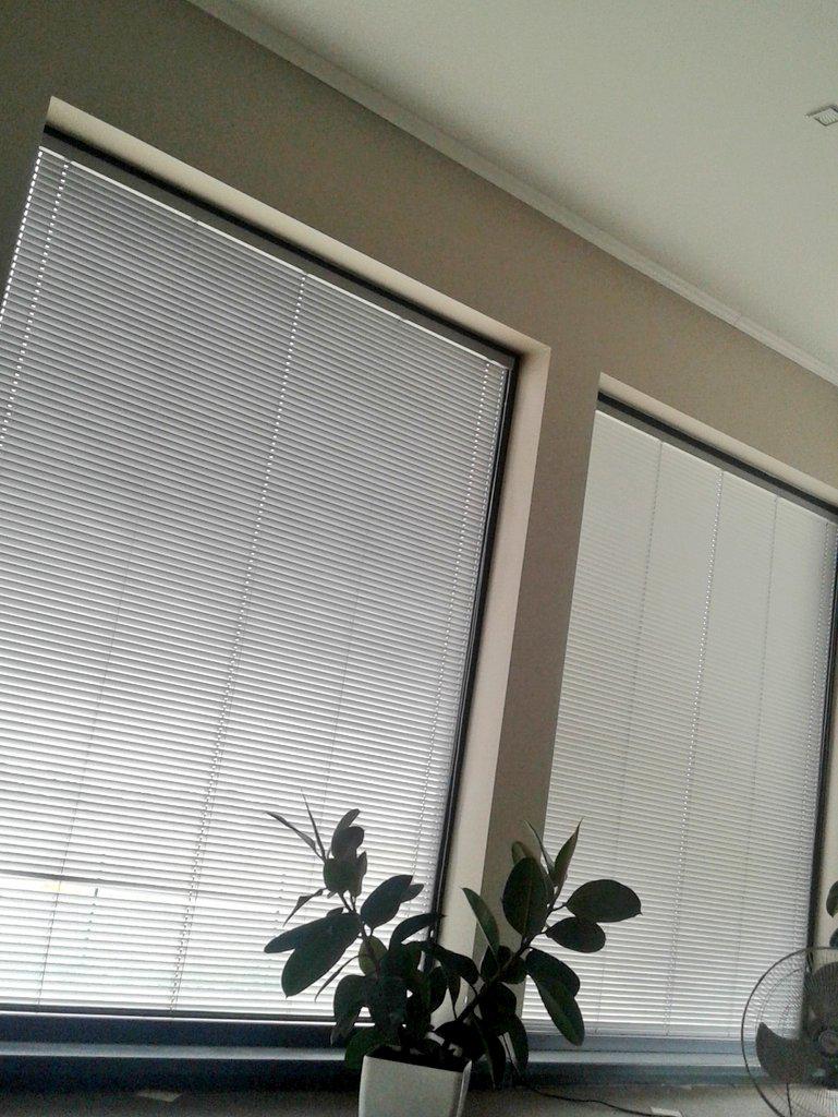 klosteritis's tweet image. Cau visiem sveiki