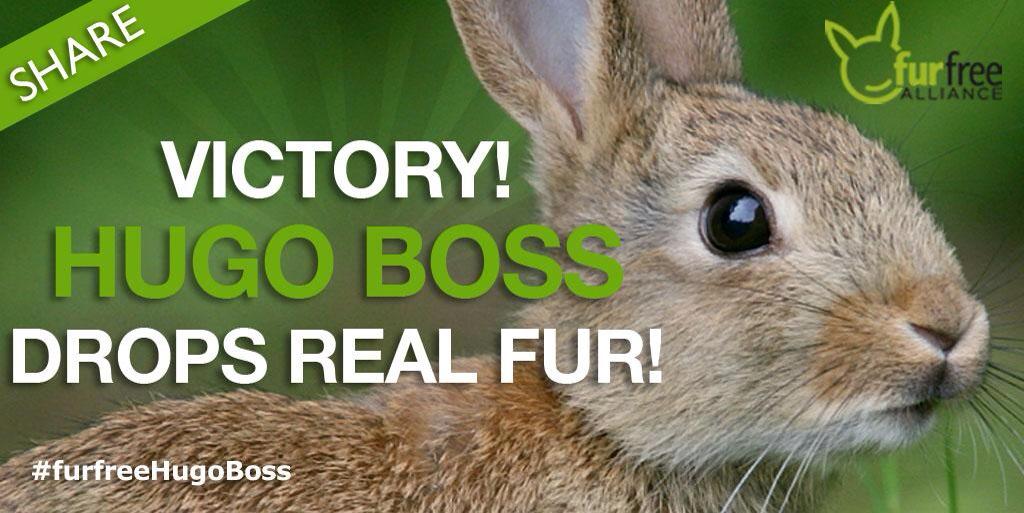 Humane World for Animals News tweet media